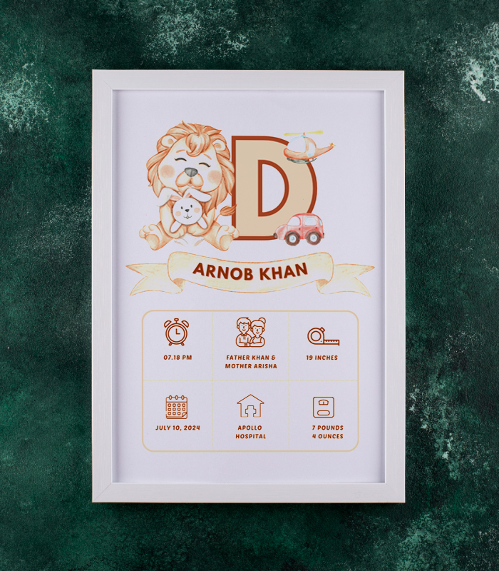 Premium Baby Birth Stat Frame